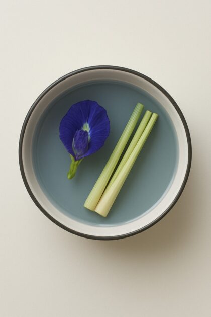 Butterfly Pea Tea